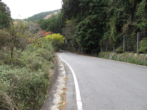 20141108hike (67)